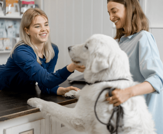 Careers at Henderson County Veterinary Hospital